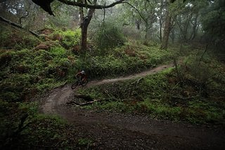 Auf den flowigen Trails rund um Santa Cruz präsentierte sich das Highball als tapferer Begleiter