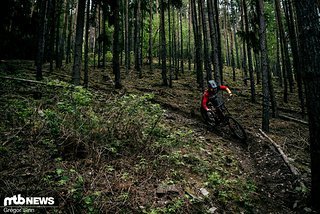 Nina Hoffmann hat es in den vergangenen anderthalb Saisons geschafft, sich von ihrem winzigen jenaer Studentenzimmer an die internationale Downhill-Spitze zu kämpfen Nina Hoffmann hat es in den vergangenen anderthalb Saisons geschafft, sich von ihrem winzigen jenaer Studentenzimmer an die internationale Downhill-Spitze zu kämpfen
