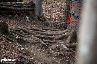 Der Downhill ist technisch zwar alles andere als einfach, große Abstände lassen sich jedoch wohl eher nicht herausfahren