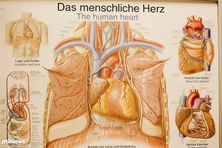 Überall hängen Plakate Überall hängen Plakate