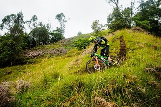 Ludo im Trail Ludo im Trail