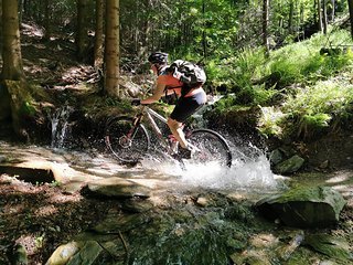 Bikeparkgaudi irgendwo in Tschechien.