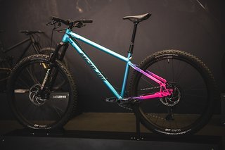 Das wunderschöne Nicolai Argon GAM