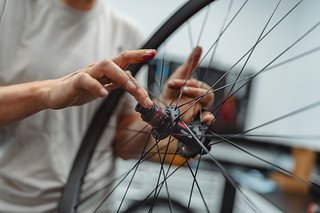 Die Specialized Traverse HD Laufräder sind mit der DT Swiss 240 Nabe ausgestattet.