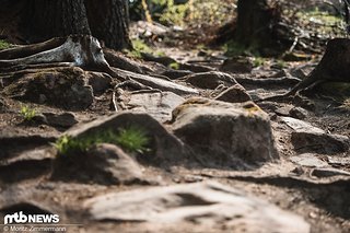 Das Geologen-Herz frohlockt, die Laufräder zittern Das Geologen-Herz frohlockt, die Laufräder zittern