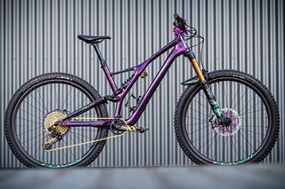Das Specialized Stumpjumper von IBC-User S-WorksVali