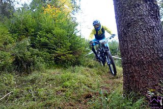 Viele Bäume mussten auf Stage 4 umzirkelt werden Viele Bäume mussten auf Stage 4 umzirkelt werden