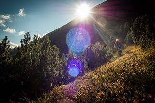 Hinein in die Abfahrt: Nach der Wiesner Alp werden die Höhenmeter vernichtet. Hinein in die Abfahrt: Nach der Wiesner Alp werden die Höhenmeter vernichtet.