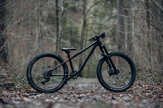 Nize One 24