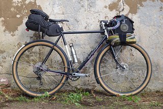 Singular Peregrine von IBC-User friederjohannes