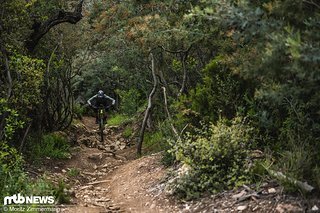 Mit Federwegen von 140 bis 150 mm am Heck gehören die Bikes in unserem Testfeld ganz klar der Trail-Kategorie an Mit Federwegen von 140 bis 150 mm am Heck gehören die Bikes in unserem Testfeld ganz klar der Trail-Kategorie an