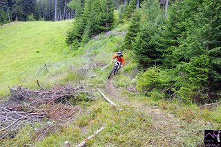 Offene Wiesenkurven in Stage 4