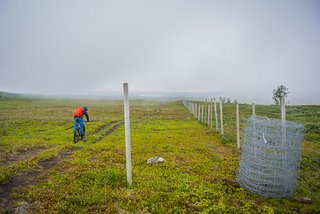 Die letzten Kilometer zur lang ersehnten Strasse führen uns auf den Spuren der Rentiere. Die letzten Kilometer zur lang ersehnten Strasse führen uns auf den Spuren der Rentiere.