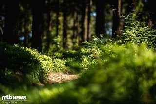 Wehe, ein Mountainbiker wagt es in Bayern, einen solchen Pfad zu betreten!