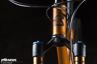 Namensgeber der Bikemarke ist ein Vogel, der repräsentativ am Steuerrohr aufgeklebt ist. Namensgeber der Bikemarke ist ein Vogel, der repräsentativ am Steuerrohr aufgeklebt ist.
