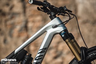 Das Strive setzt auf einen speziellen Steuersatz, über den sich der Reach um ±5 mm verändern lässt. Das Strive setzt auf einen speziellen Steuersatz, über den sich der Reach um ±5 mm verändern lässt.