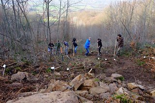 Der Bau eines Trails ist mit viel Arbeit verbunden Der Bau eines Trails ist mit viel Arbeit verbunden
