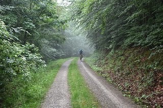 Einsam auf der Strecke. Durch langsam steigende Temperaturen bildete sich Nebel.