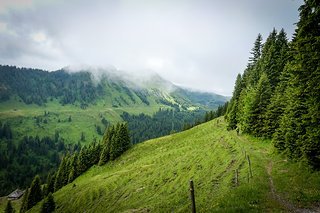 Das sieht doch gar nicht so schlecht aus