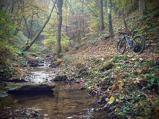Auf ausgedehnten Touren fühlt sich das Projekt Al/C_29 zuhause ... Auf ausgedehnten Touren fühlt sich das Projekt Al/C_29 zuhause ...