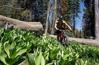 Sowohl für Trail Abenteuer... Sowohl für Trail Abenteuer...