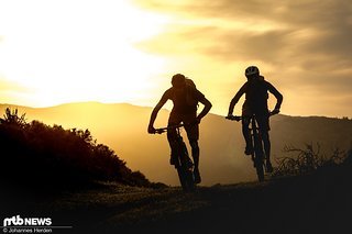 Roger und Patricia im Gegenlicht