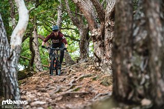 In ruppigen Terrain kommt das Trail Bike an seine Grenzen. Hier würde etwas mehr Laufruhe nicht schaden. In ruppigen Terrain kommt das Trail Bike an seine Grenzen. Hier würde etwas mehr Laufruhe nicht schaden.