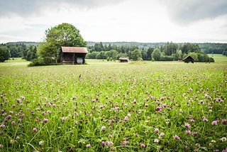 Der Tag vor dem Rennen war stark vom Regen geprägt. Aber die Natur braucht den Regen. Der Tag vor dem Rennen war stark vom Regen geprägt. Aber die Natur braucht den Regen.