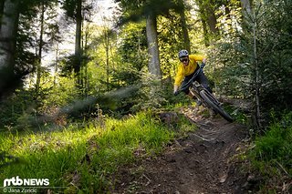 Das sensible Fahrwerk sorgt auf wurzeligen Trails stets für Traktion