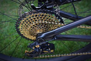 Die goldene SRAM XX1 Eagle sorgt in Kombination mit dem Kashima-Fahrwerk für eine schicke Optik Die goldene SRAM XX1 Eagle sorgt in Kombination mit dem Kashima-Fahrwerk für eine schicke Optik