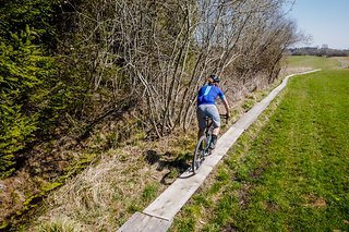 Ihr seid doch auf dem Holzweg.