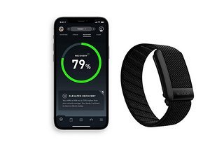 Whoop Strap mit einer einjährigen Mitgliedschaft