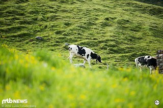ein langer Tag steht an: Training & Quali ist heute auf dem Plan. Also machen wir uns mal auf den Weg ins Tal.