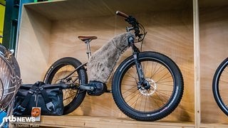 E-BIke im Schafspelz