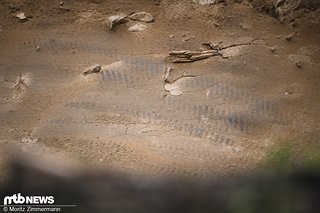 Top: Die Testbedingungen im Bike Park Bischofsmais hätten besser nicht sein können