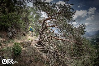 Ein Wunderschöner Singletrail in Stage 7.