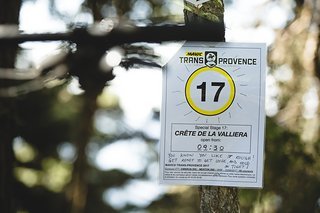 Guten Morgen, Stage 17!