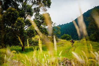 Großer Baum, kleine Ines Großer Baum, kleine Ines