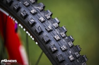 Bei den mit Edding geschwärzten Reifen dürfte es sich um Maxxis Highroller III handeln.