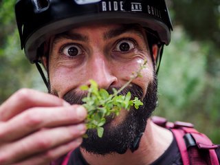 Matteo wie er leibt und lebt Matteo wie er leibt und lebt
