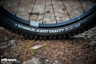 Der neue Schwalbe Albert ist nicht einfach nur ein gewöhnlicher neuer Reifen mit frischem Profil