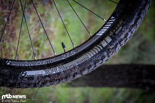 Anbauteile von der Hausmarke: Lenker, Vorbau, Sattel, Laufradsatz und Reifen werden von Bontrager gestellt Anbauteile von der Hausmarke: Lenker, Vorbau, Sattel, Laufradsatz und Reifen werden von Bontrager gestellt