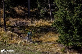 Flowige Teilstücke im Wechsel mit einigen technischeren Wurzelpassagen Flowige Teilstücke im Wechsel mit einigen technischeren Wurzelpassagen