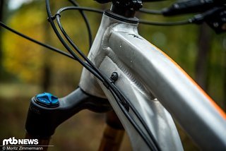 Das Raw-Finish unseres Testbikes weiß durchaus zu gefallen