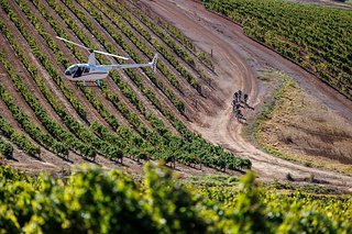 Ab durch die Weinberge. Die Strecke rund um das Meerendal Wine Estate bietet eine malerische Kulisse. Ab durch die Weinberge. Die Strecke rund um das Meerendal Wine Estate bietet eine malerische Kulisse.