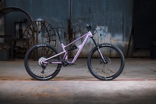 Ibis Ripmo AF