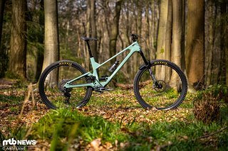 Das neue Forbidden Druid V2 Das neue Forbidden Druid V2
