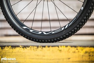 Die Felgen des laut Specialized 1240 Gramm leichten Laufradsatzes stammen aus hauseigener Carbon-Fertigung und ermöglichen dank 29 Felgeninnenweite die Montage breiter Reifen für optimalen Grip und Komfort. Die Felgen des laut Specialized 1240 Gramm leichten Laufradsatzes stammen aus hauseigener Carbon-Fertigung und ermöglichen dank 29 Felgeninnenweite die Montage breiter Reifen für optimalen Grip und Komfort.