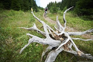 Für Kunst am Wegesrand dürften die Teilnehmer der TraiTrophy wohl nur selten einen Blick haben…