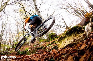 Verspielter Riese Verspielter Riese